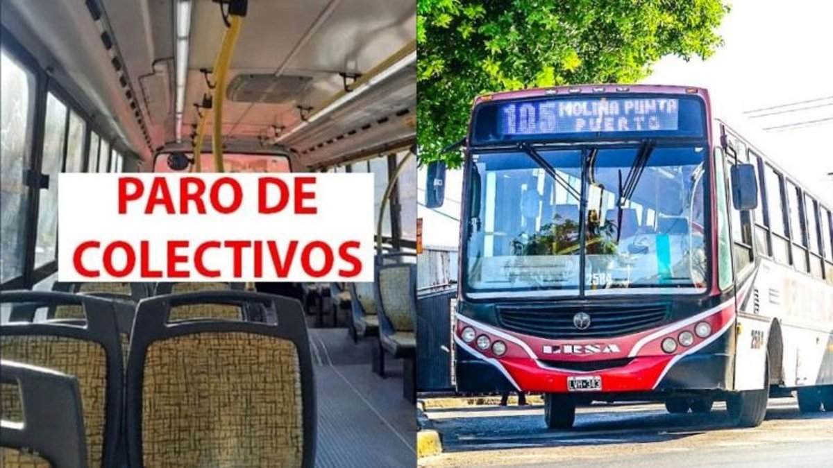 ALERTA Paro de colectivos en el AMBA: cuándo puede ser la medida de ...