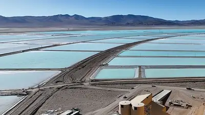 Minera francesa Eramet será la primera europea en invertir en litio en Argentina Minera francesa Eramet será la primera europea en invertir en litio en Argentina