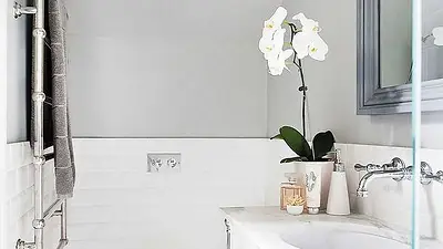Orquídeas baño Orquídeas baño