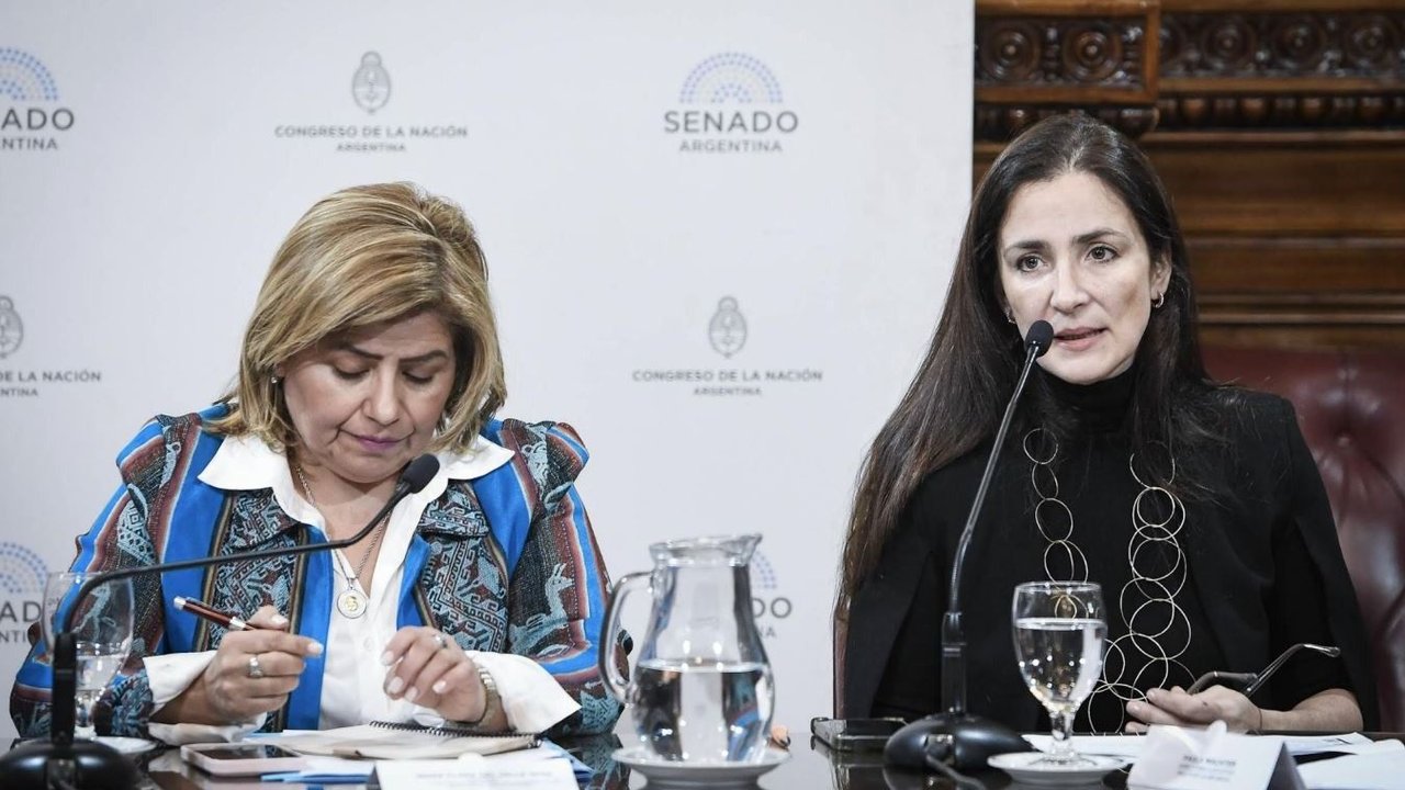 Presentaron informe sobre protección de la infancia en la Argentina y el mundo