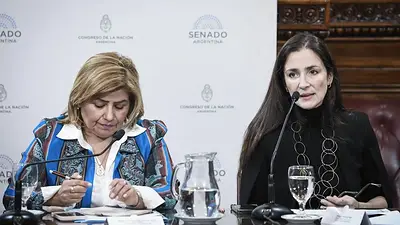 Presentaron informe sobre protección de la infancia en la Argentina y el mundo Presentaron informe sobre protección de la infancia en la Argentina y el mundo