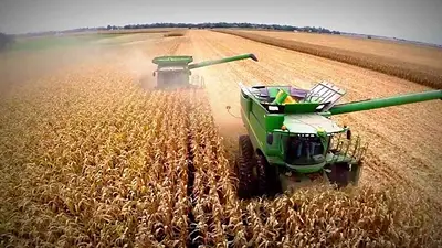 Aunque el Gobierno tiene problemas para acumular reservas, el Agro sigue liquidando reservas Aunque el Gobierno tiene problemas para acumular reservas, el Agro sigue liquidando reservas