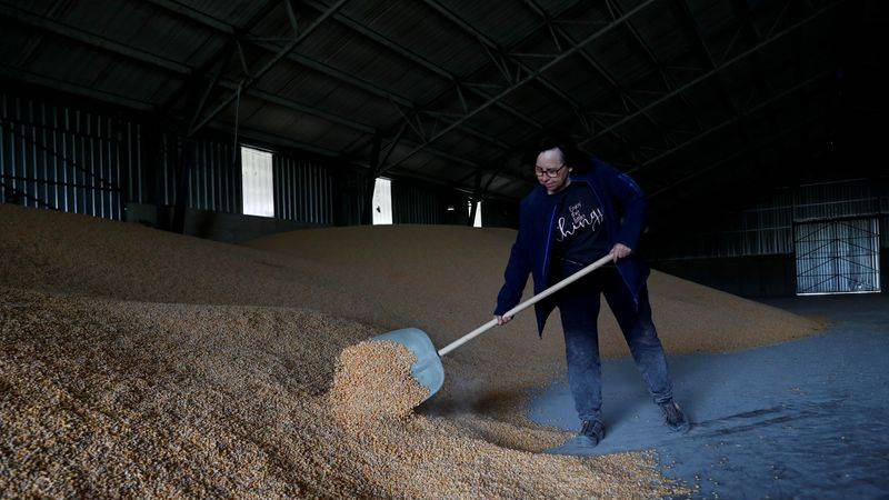 Hungría se dispone a prohibir las importaciones de grano ucraniano tras el 15 de septiembre