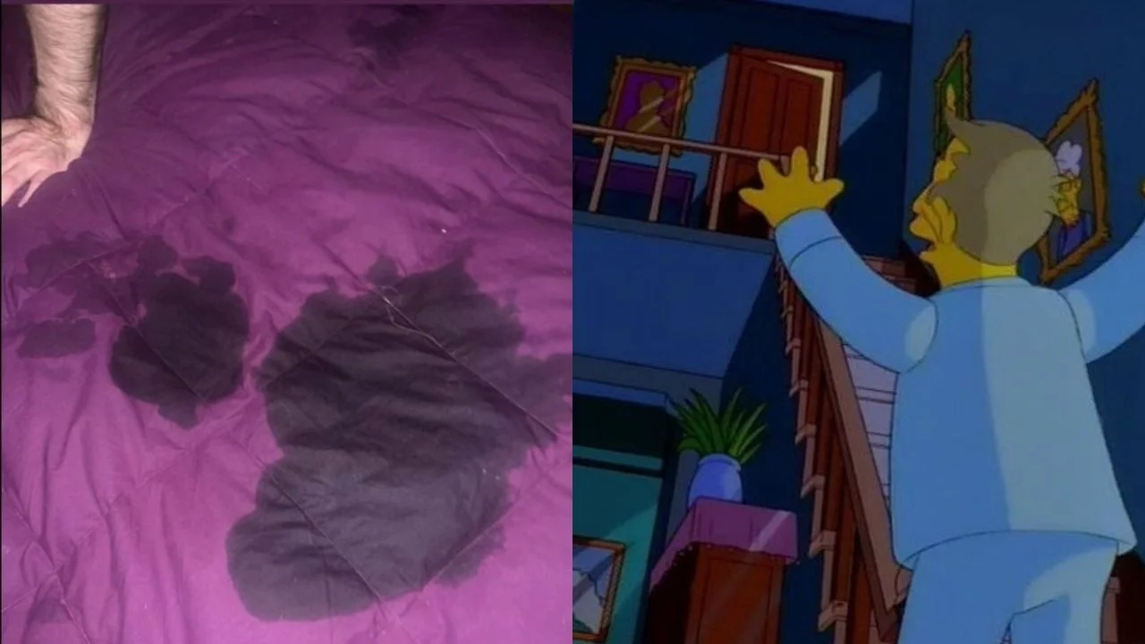 Historia de Instagram de Fátima Florez y meme de Los Simpson