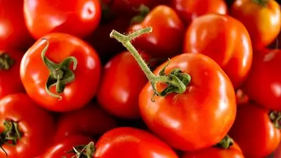 Beneficios del tomate Beneficios del tomate