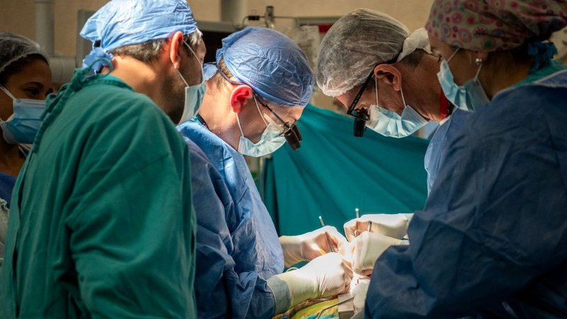 Trasplantes, Hospital Garrahan 