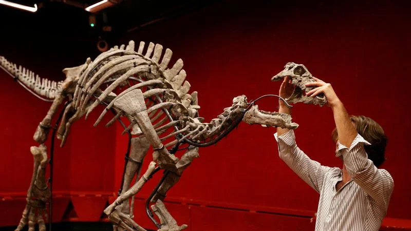 Un dinosaurio conocido como "Barry" saldrá a subasta en París