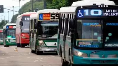 Sube por primera vez el boleto de colectivo en la era de Milei: a cuánto se fue Sube por primera vez el boleto de colectivo en la era de Milei: a cuánto se fue