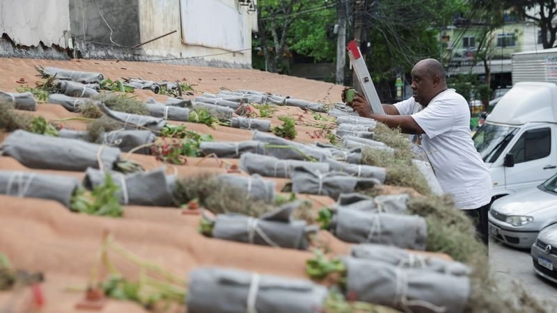 Activista de una favela brasileña planta "tejados verdes" para combatir la ola de calor