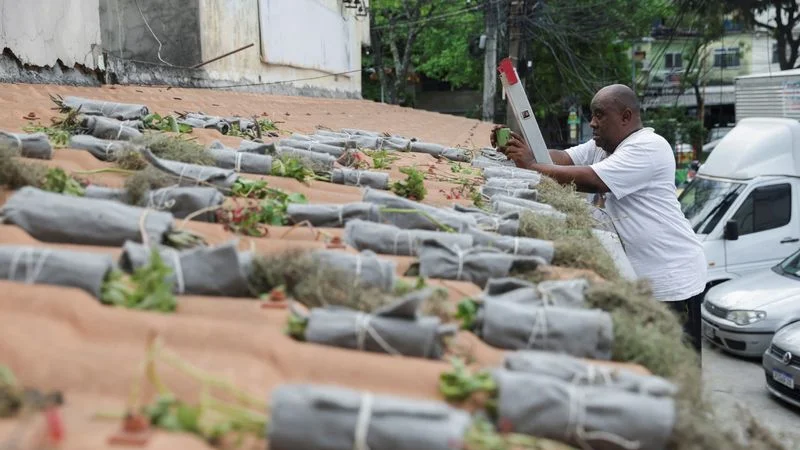 Activista de una favela brasileña planta "tejados verdes" para combatir la ola de calor