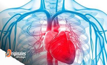 Cada día mueren 300 personas por enfermedades cardiovasculares | Ciencia 