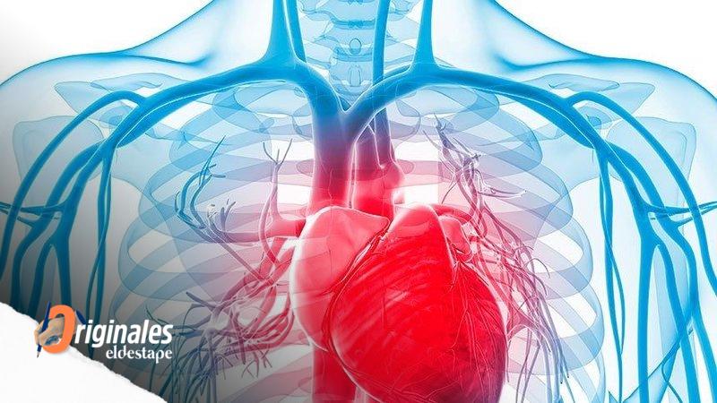 Cada día mueren 300 personas por enfermedades cardiovasculares
