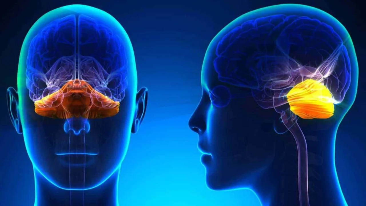 Qué es la ataxia, cuáles son los tipos que existen y cómo se trata.