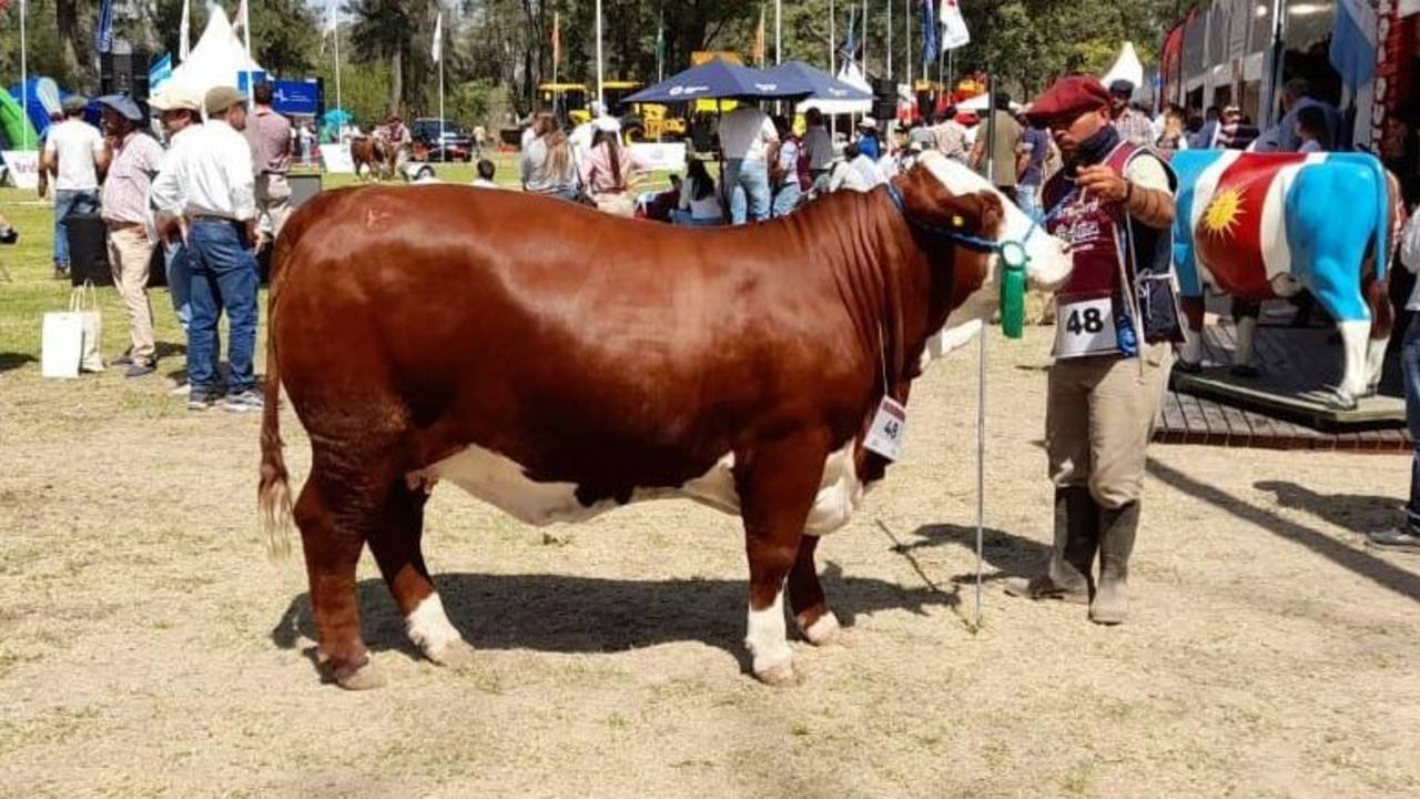 La empresa Kayne obtuvo tres nuevos reconocimientos en la ExpoBra 2023