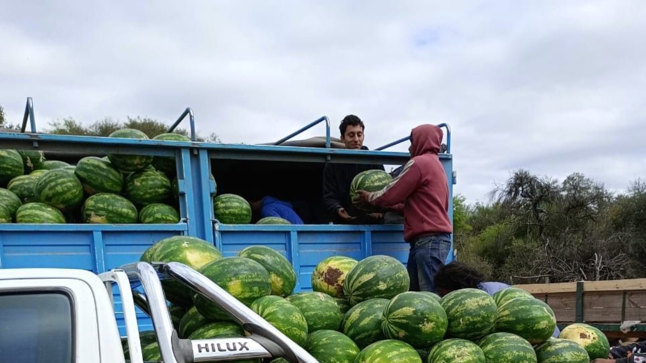Formosa aportó más de 1 millón de kilos de sandía a los mercados nacionales