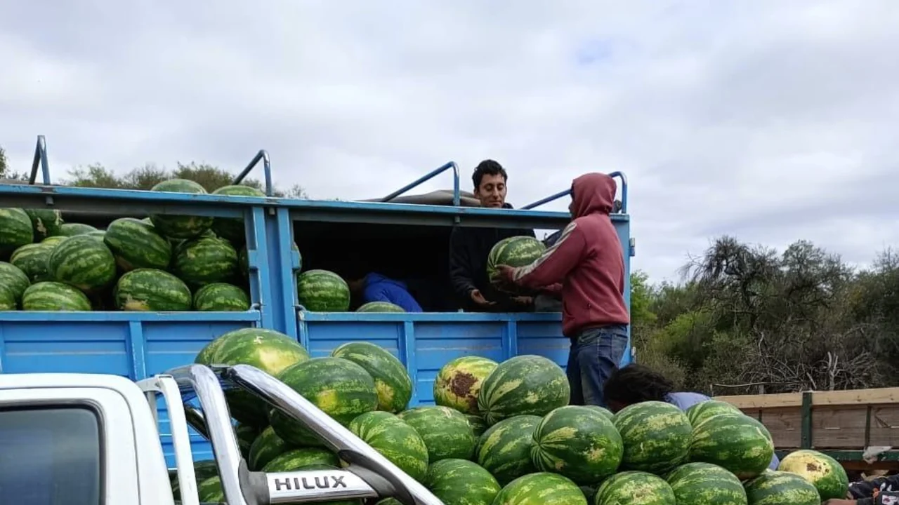 Formosa aportó más de 1 millón de kilos de sandía a los mercados nacionales