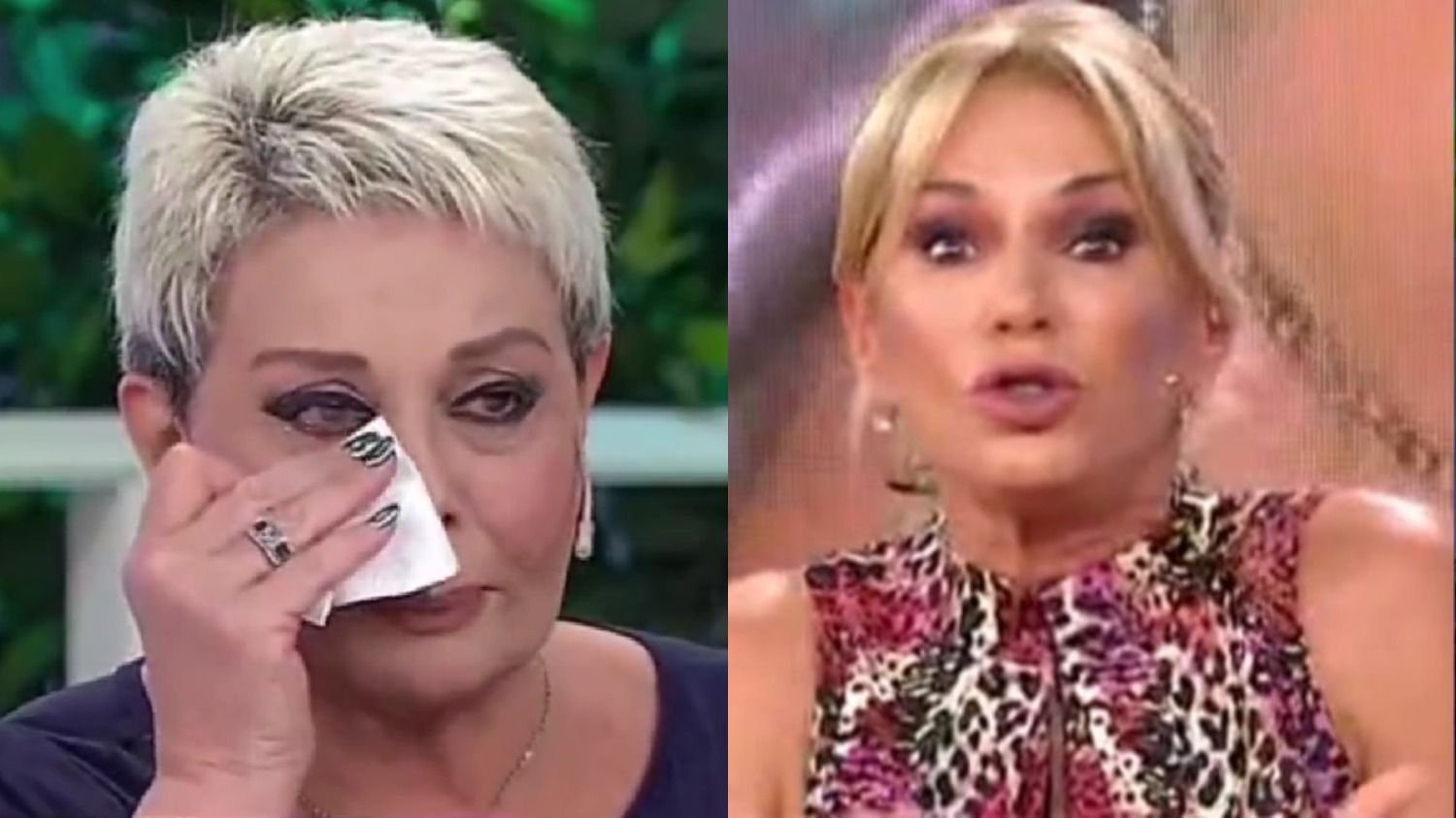 Carmen Barbieri se quebró en vivo y reveló lo que nadie sabía de Yanina Latorre: "Muerto" | El Destape