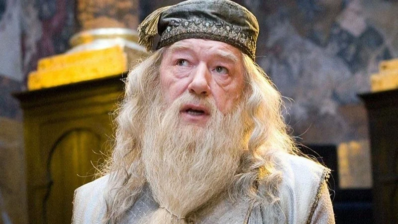 Michael Gambon. Harry Potter