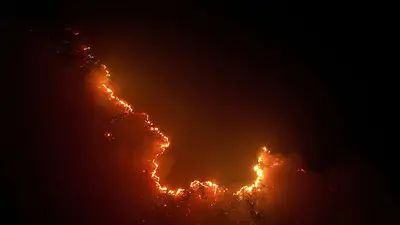 Los incendios en la Amazonia brasileña alcanzan en agosto su nivel más alto en 14 años Los incendios en la Amazonia brasileña alcanzan en agosto su nivel más alto en 14 años