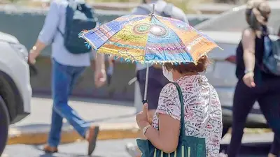 Qué pasó con la primavera y qué pronostico el Servicio Meteorológico Nacional sobre el calor. Cuándo sube la temperatura. Primavera en Argentina. Qué pasó con la primavera y qué pronostico el Servicio Meteorológico Nacional sobre el calor. Cuándo sube la temperatura. Primavera en Argentina.