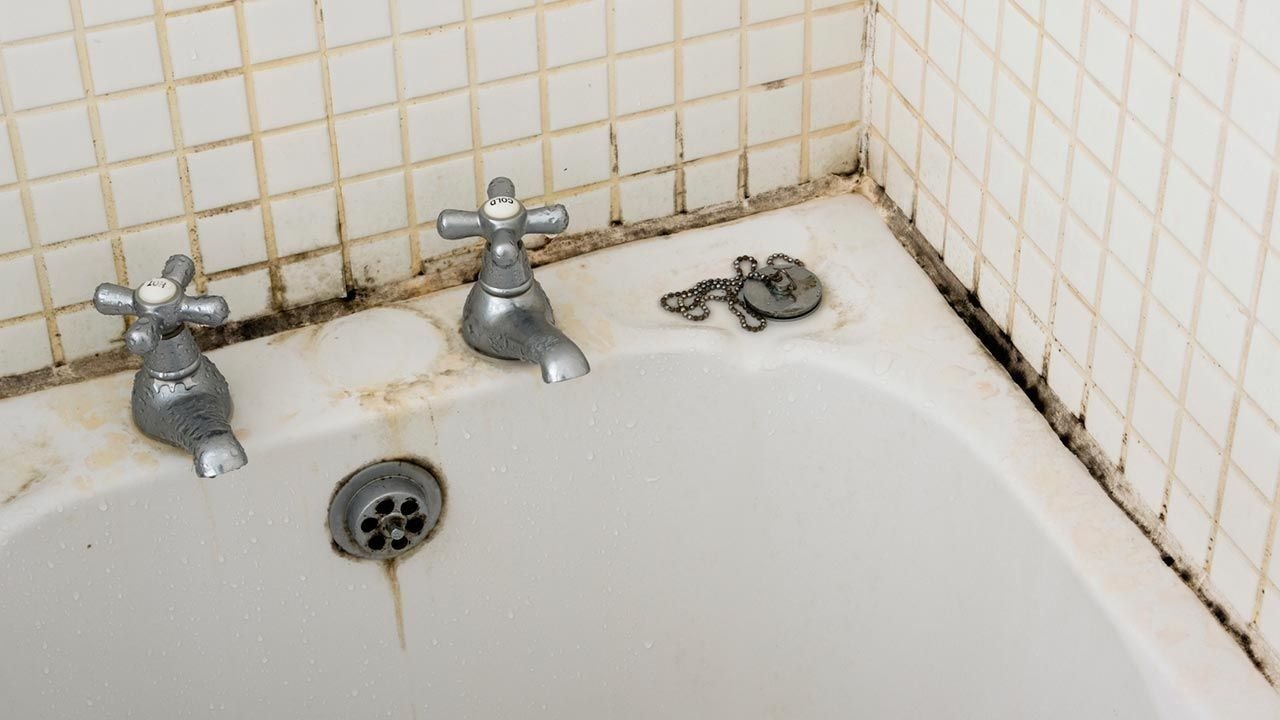 Qué pasó con el truco casero para eliminar hongos y moho del baño definitivamente.