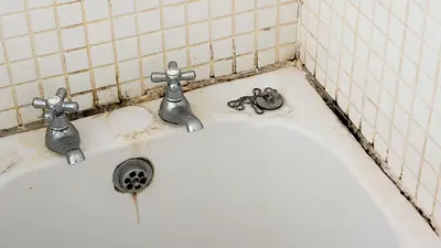 Qué pasó con el truco casero para eliminar hongos y moho del baño definitivamente. Qué pasó con el truco casero para eliminar hongos y moho del baño definitivamente.