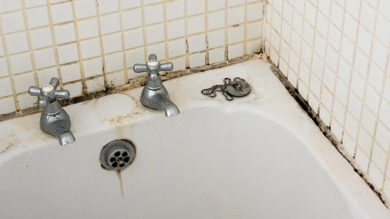 Qué pasó con el truco casero para eliminar hongos y moho del baño definitivamente.