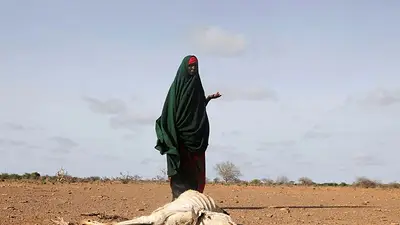 África se enfrenta a costes elevados por el aumento de las temperaturas, según la OMM África se enfrenta a costes elevados por el aumento de las temperaturas, según la OMM
