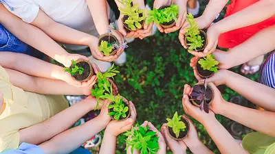 Concurso escolar en La Rioja: la novedosa iniciativa del Gobierno para incentivar el cuidado del medio ambiente Concurso escolar en La Rioja: la novedosa iniciativa del Gobierno para incentivar el cuidado del medio ambiente