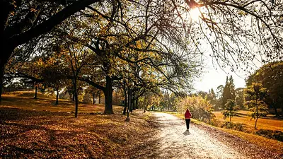 San Miguel de Tucumán, otoño. San Miguel de Tucumán, otoño.