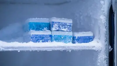Freezer. Electrodomésticos. Freezer. Electrodomésticos.