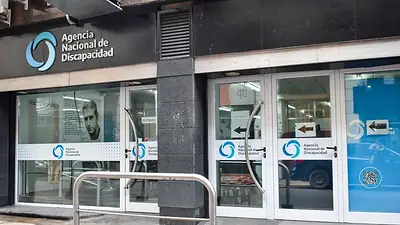 El Gobierno eliminará el 10 por ciento de las pensiones auditadas: a quiénes afecta y cuáles son los motivos El Gobierno eliminará el 10 por ciento de las pensiones auditadas: a quiénes afecta y cuáles son los motivos