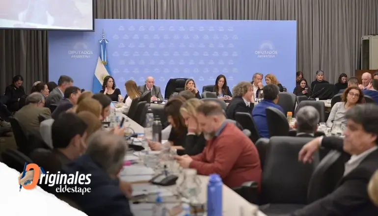 Escándalo de Ezeiza: seis citaciones, blindaje del PRO y comisión diluída