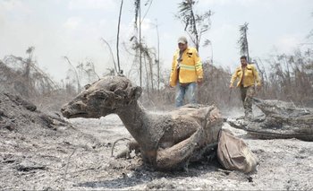 Arce apoya a las víctimas de los desastres naturales | Bolivia