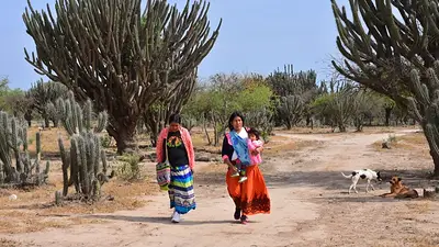 Día Internacional de la Mujer Indígena: qué políticas lleva adelante Formosa para garantizar sus derechos en la provincia Día Internacional de la Mujer Indígena: qué políticas lleva adelante Formosa para garantizar sus derechos en la provincia