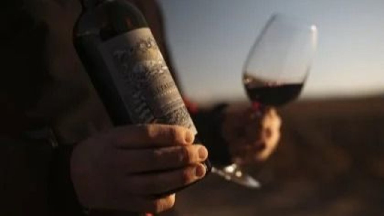 Altaluvia Cabernet Franc