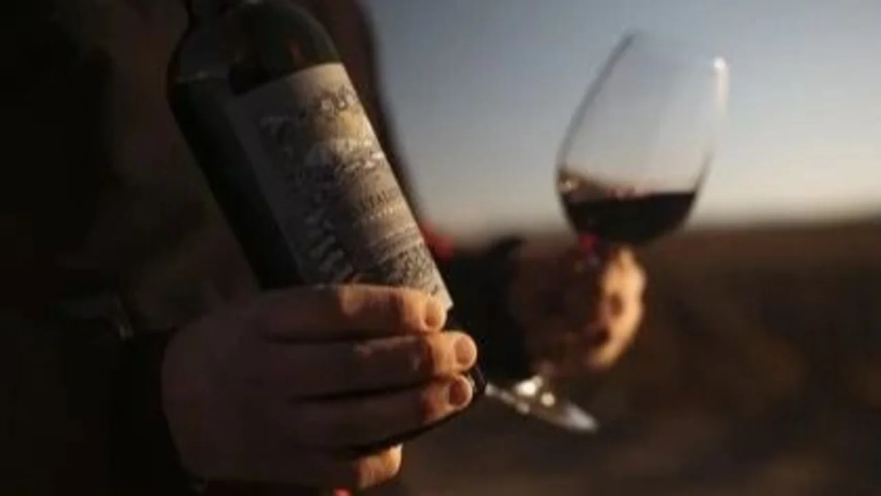 Altaluvia Cabernet Franc