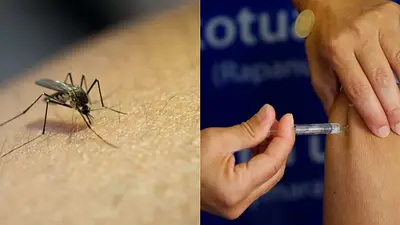 Plan de Salud: Santa Fe se anticipa al verano y comenzará a vacunar contra el dengue el próximo lunes Plan de Salud: Santa Fe se anticipa al verano y comenzará a vacunar contra el dengue el próximo lunes