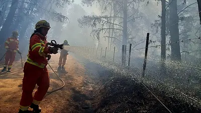Ante los grandes incendios forestales en Córdoba, Llaryora declaró el "estado de desastre" en el territorio Ante los grandes incendios forestales en Córdoba, Llaryora declaró el "estado de desastre" en el territorio