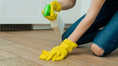 Limpieza Limpieza
