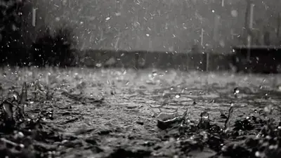 Cuándo llega la "lluvia negra": cómo afecta a la salud y qué dicen los especialistas sobre sus peligros Cuándo llega la "lluvia negra": cómo afecta a la salud y qué dicen los especialistas sobre sus peligros