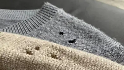 Agujero en la ropa Agujero en la ropa