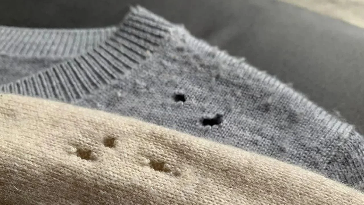 Agujero en la ropa