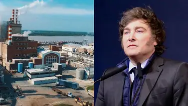 Celulosa reportó pérdidas por más de $ 170.000 millones y está cerca de la quiebra