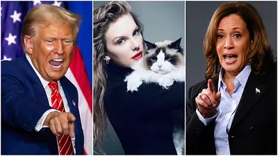 Taylor Swift apoyó a Kamala Harris y apuntó contra Donald Trump: "Sin hijos y con gatos" Taylor Swift apoyó a Kamala Harris y apuntó contra Donald Trump: "Sin hijos y con gatos"