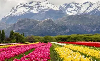 El campo patagónico que cautiva a cientos de turistas todos los años abre sus puertas | Escapadas