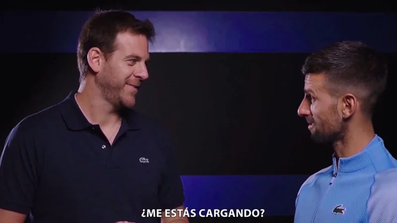 Novak Djokovic, Juan Martín Del Potro, tenis, deportes