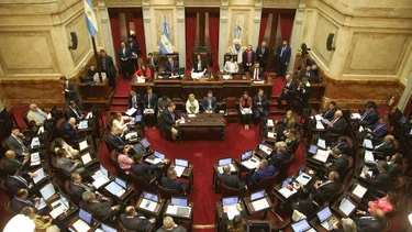 LLA se aferra al veto en el Senado de los proyectos previsionales y de discapacidad 