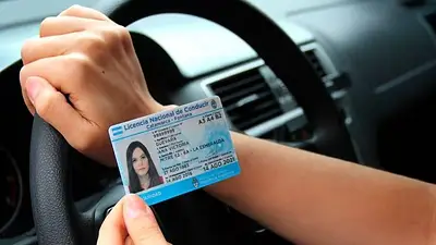 Licencia de conducir. Licencia de conducir.