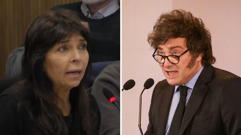 Qué dijo Silvia Mercado sobre Javier Milei. Qué dijo Silvia Mercado de Javier Milei